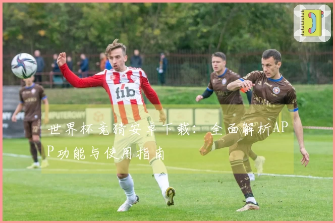 世界杯竞猜安卓下载：全面解析APP功能与使用指南