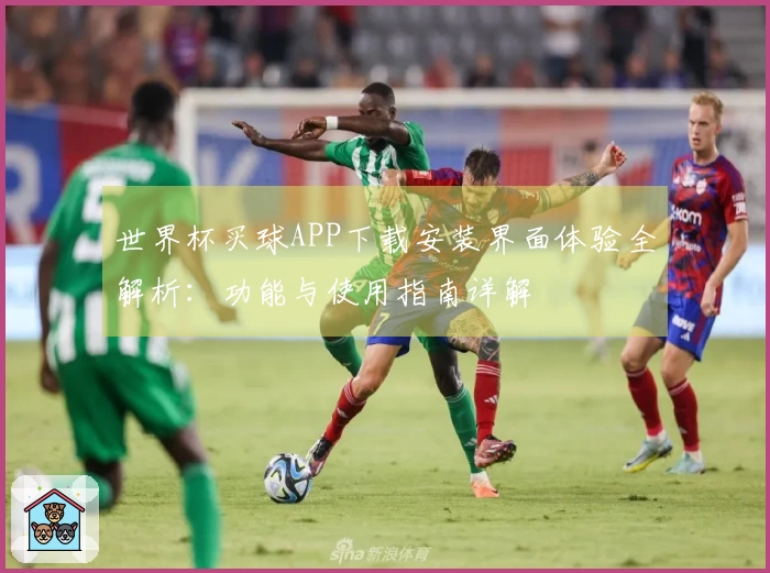 世界杯买球APP下载安装界面体验全解析：功能与使用指南详解