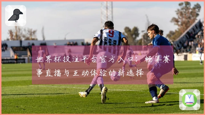 世界杯投注平台官方入口：畅享赛事直播与互动体验的新选择