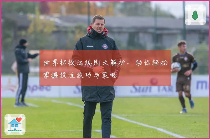 世界杯投注规则大解析，助你轻松掌握投注技巧与策略