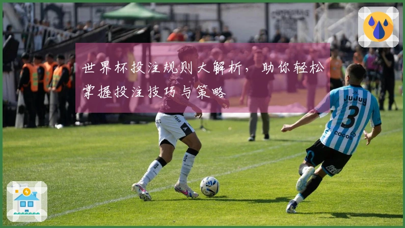 世界杯投注规则大解析，助你轻松掌握投注技巧与策略