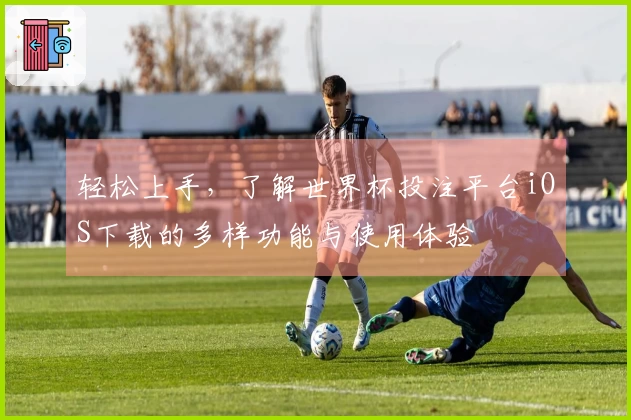 轻松上手，了解世界杯投注平台iOS下载的多样功能与使用体验